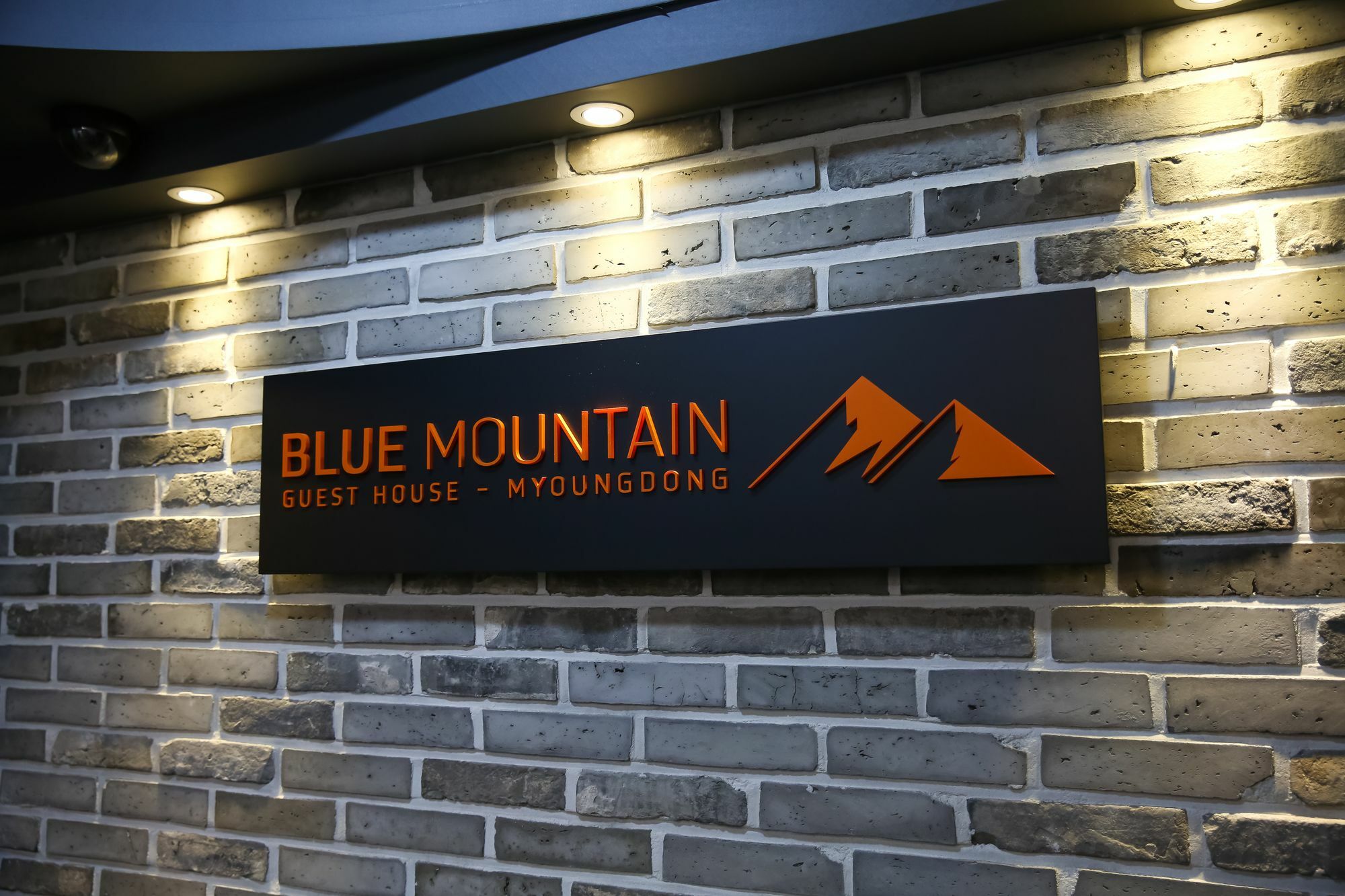Blue Mountain Myeong-Dong Hotel Seoel Buitenkant foto