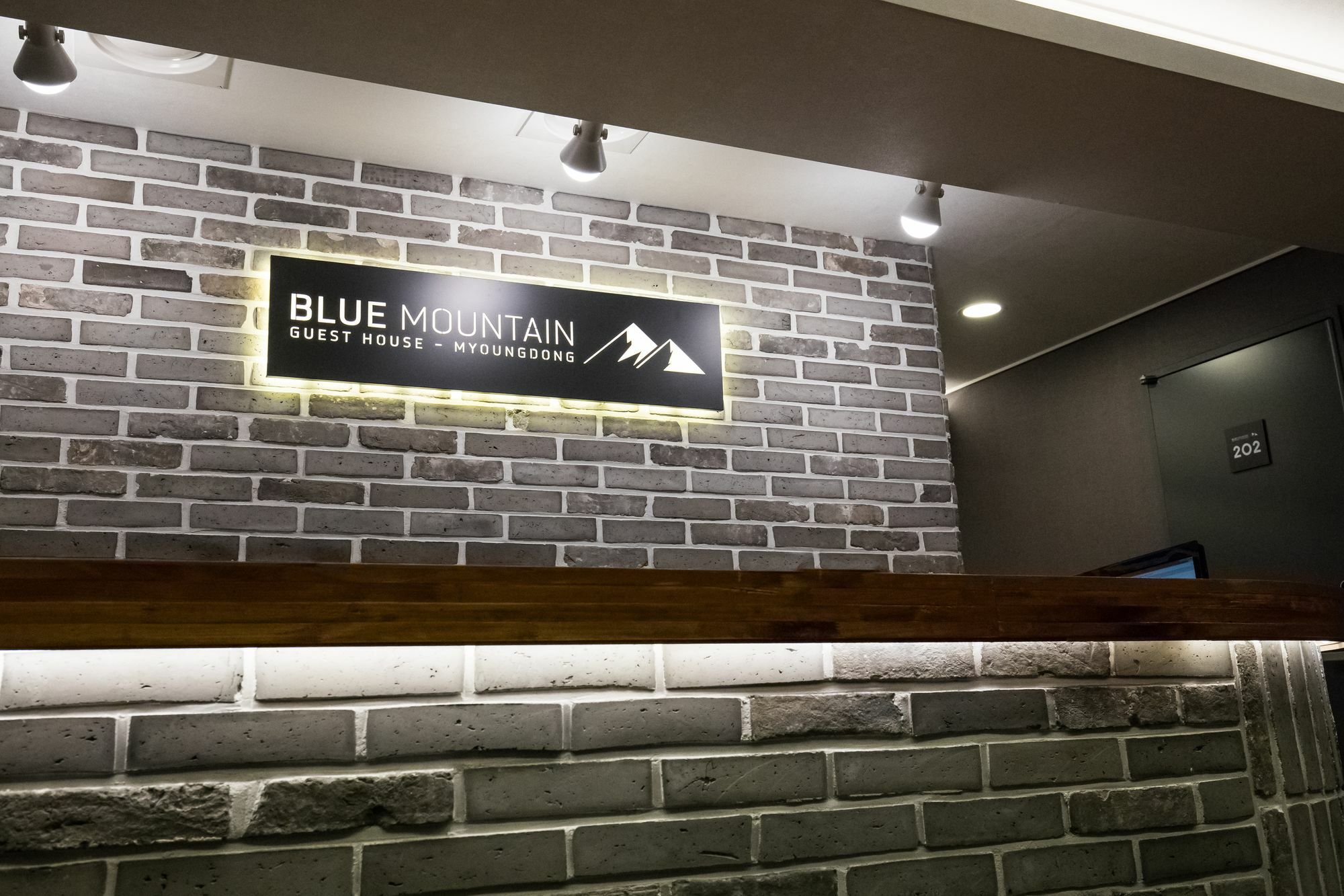 Blue Mountain Myeong-Dong Hotel Seoel Buitenkant foto