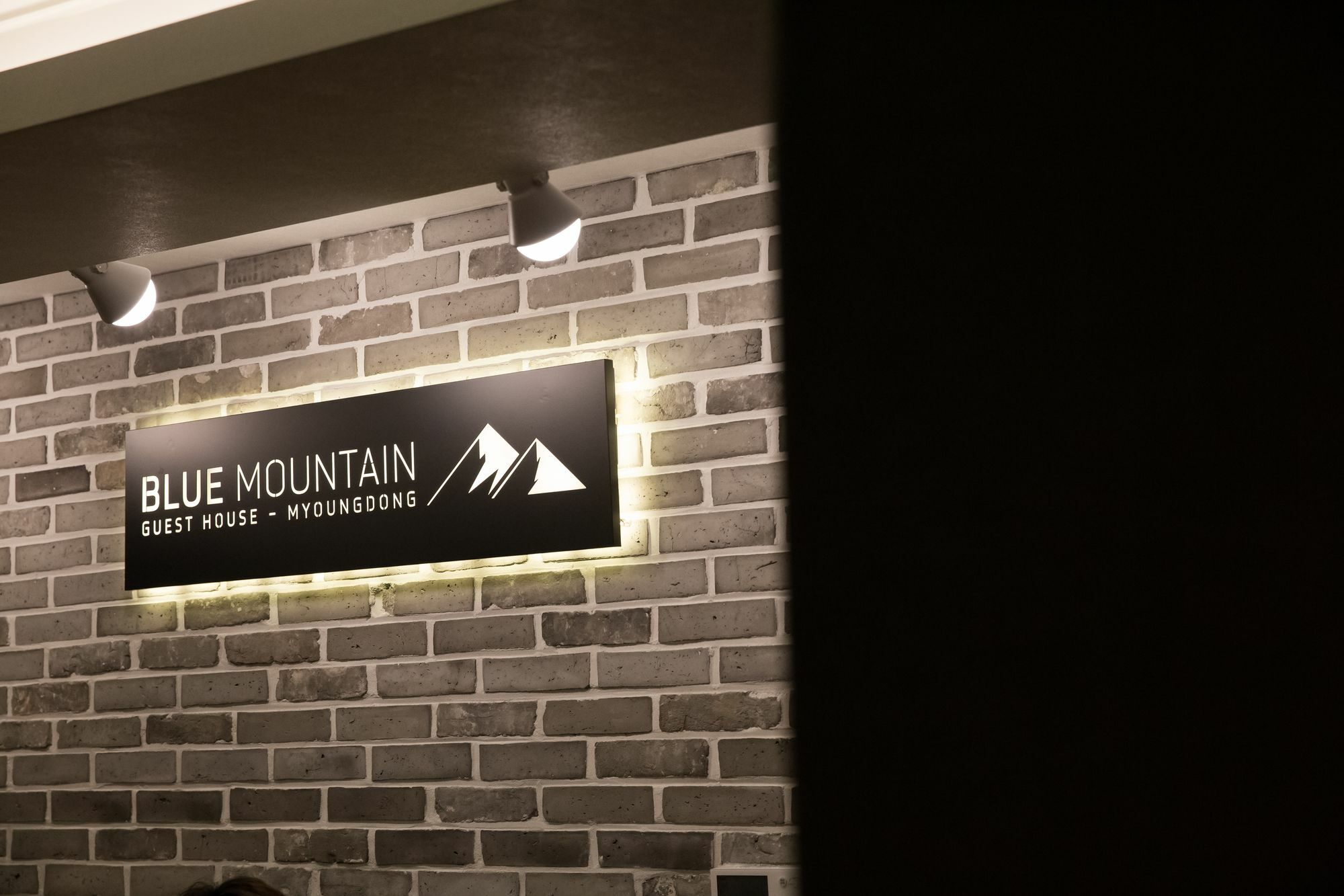 Blue Mountain Myeong-Dong Hotel Seoel Buitenkant foto